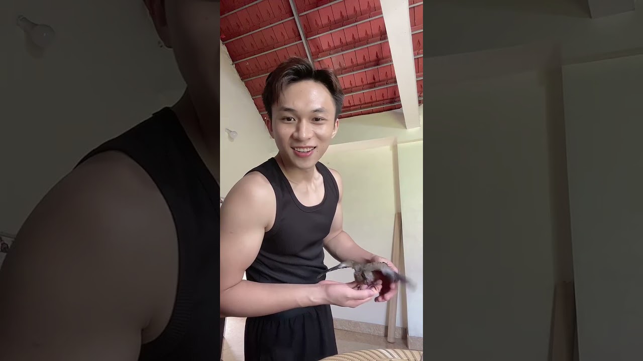 TikTok, trinhhuuphu, Ph&uacute; Trịnh, 12.05.2025, merged