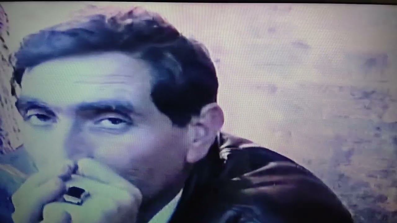 KÖHNƏ. PALATKA. TOYU. 1996. Cİ. İL