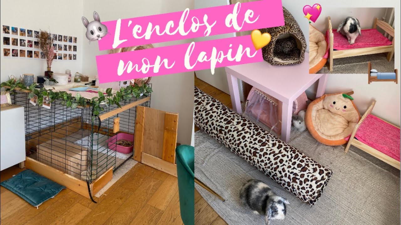 ROOM TOUR DE BULLY I J'AMMÉNAGE L'ESPACE DE MON LAPIN 🐰