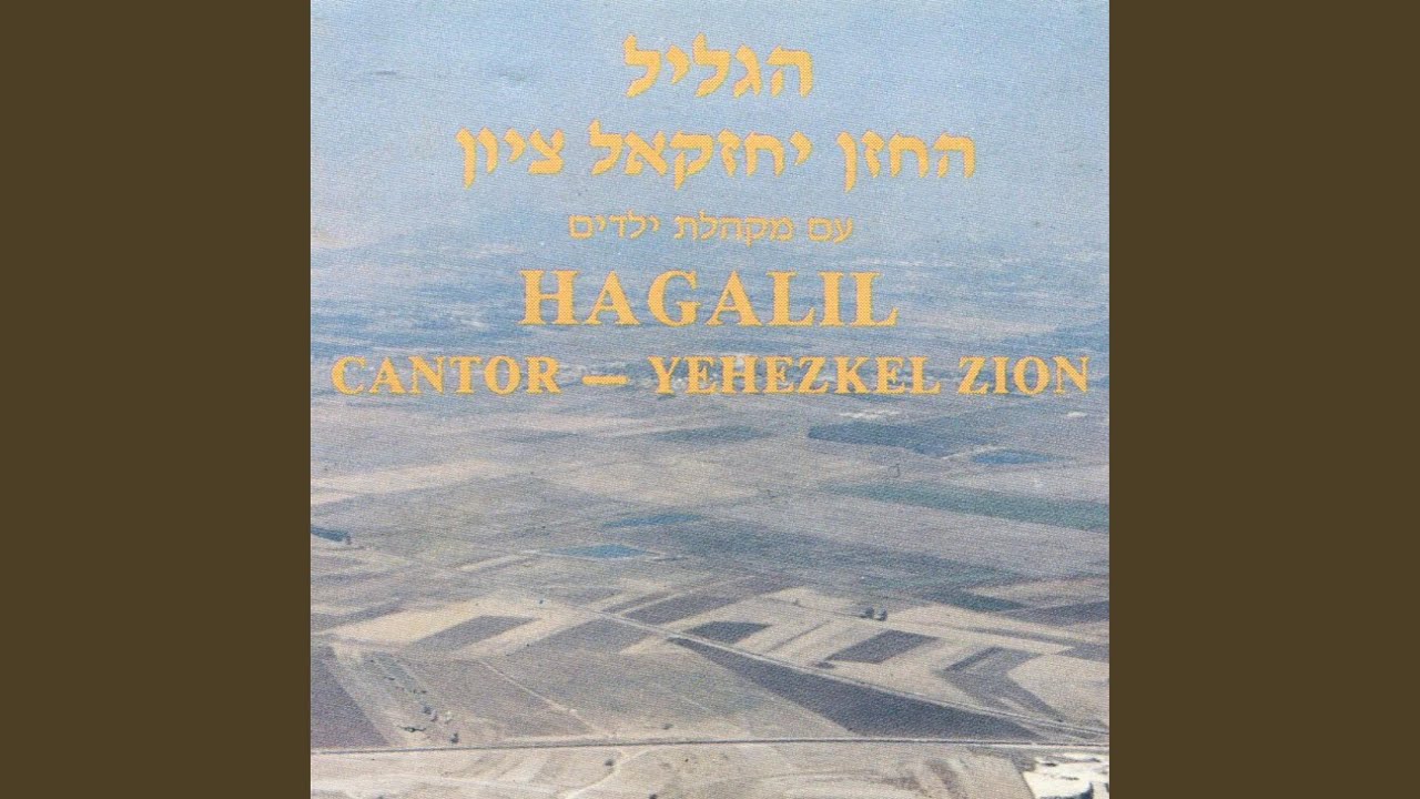 חיים ומדון