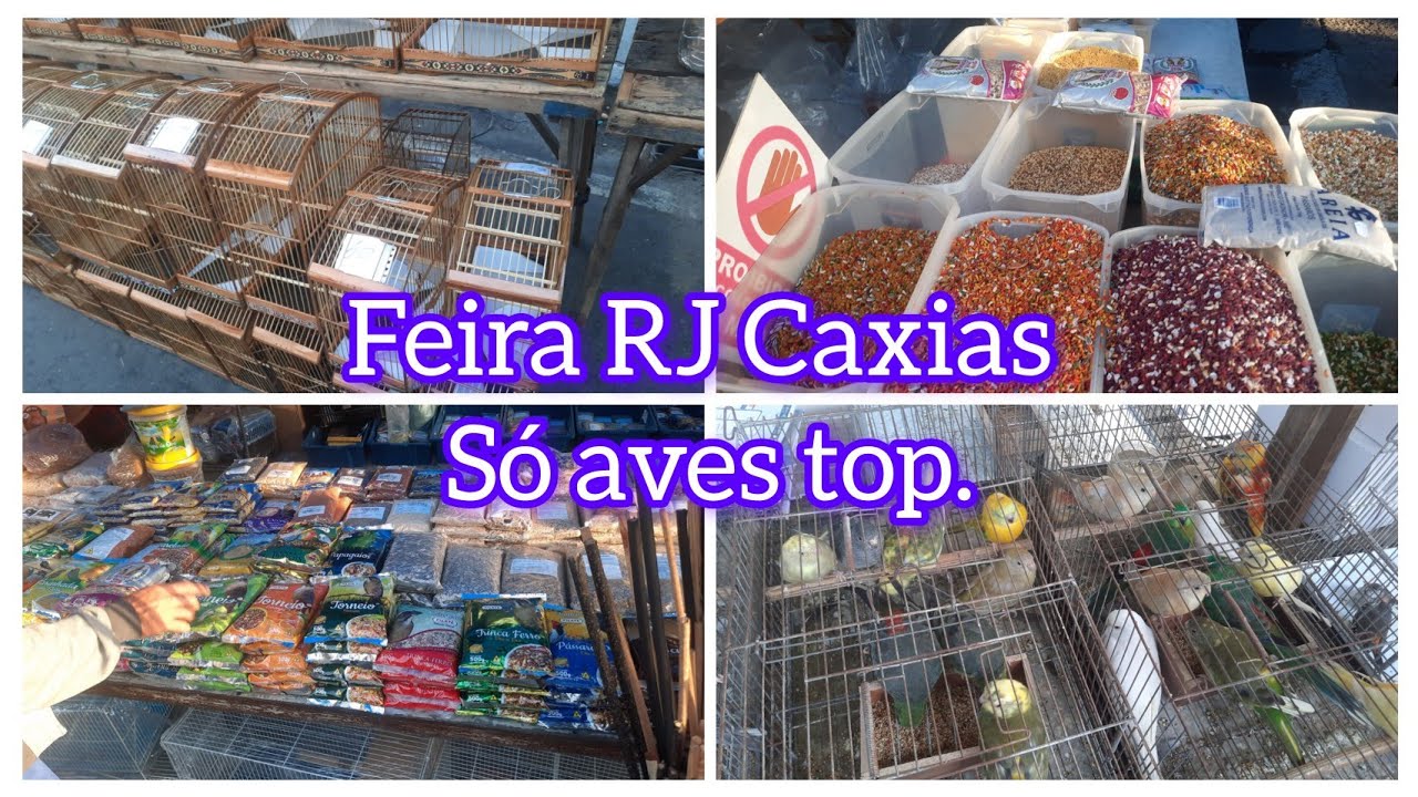 CAXIAS FEIRA DE QUALIDADE, RIO DE JANEIRO 