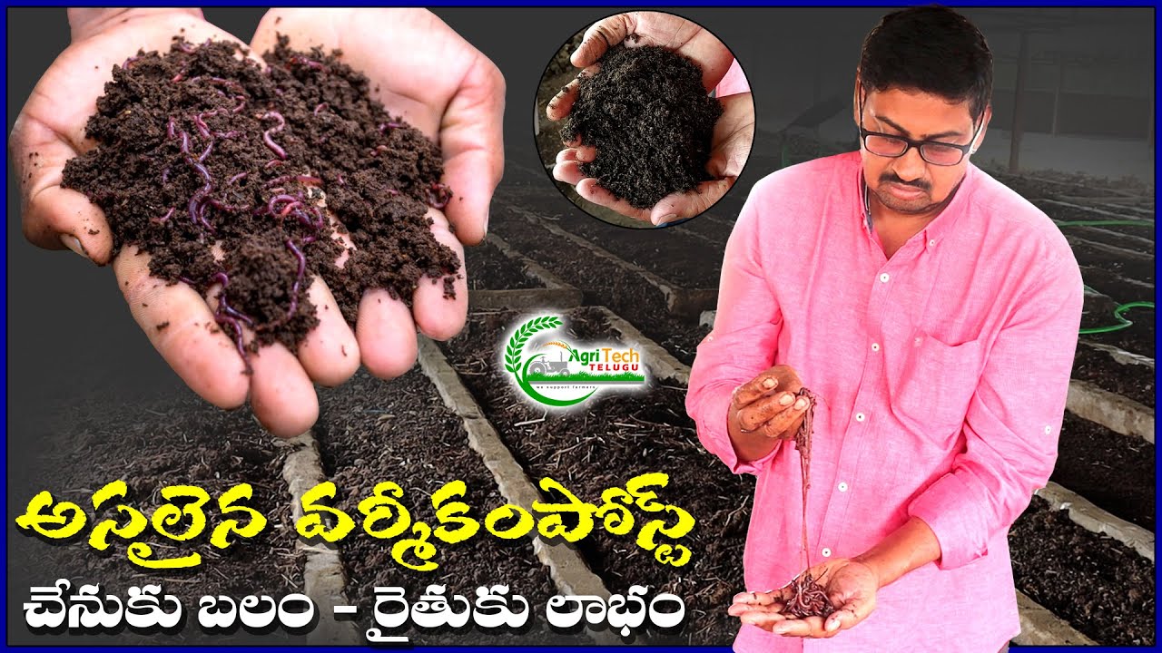 నాణ్యమైన వర్మీకంపోస్ట్ | 94419 32371 | Vermicompost Available at Reasonable Price | AgriTech Telugu