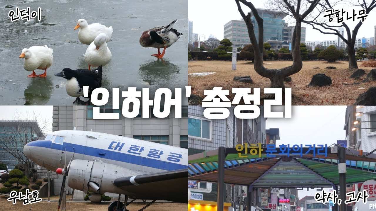 [인하대] 24학번 새내기 집중!! 미리 알고 가면 편한 &lsquo;인하어&rsquo; 총정리