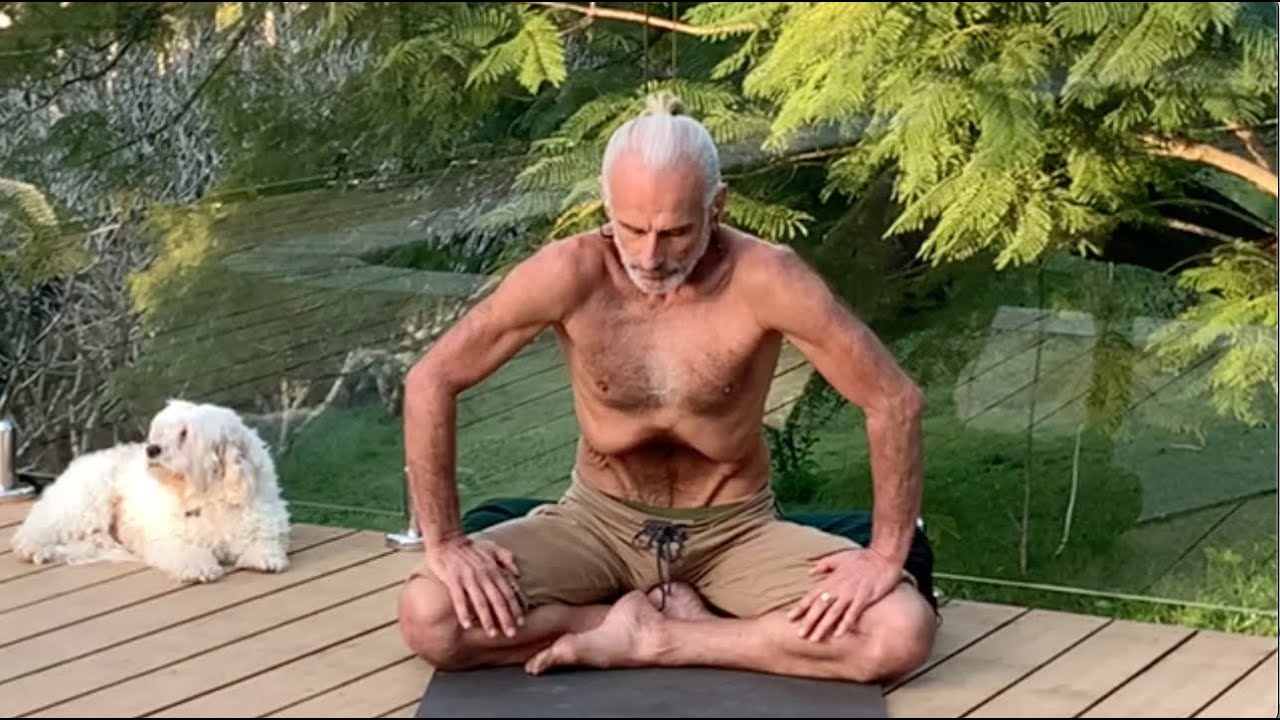 Internal Organ Self-Massage & Energy Booster: Learning Kriya, Nauli & Pranayama