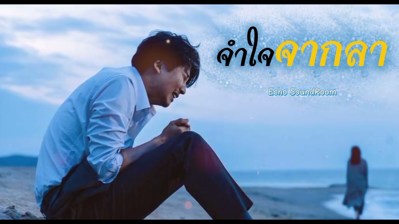 จำใจจากลา [Good bye] - Echo SoundRoom (Official Audio)
