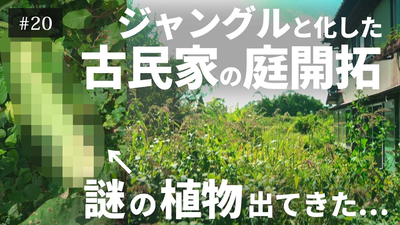 【築60年古民家DIY】ジャングル化した庭の草刈り！謎の巨大植物出現 #20