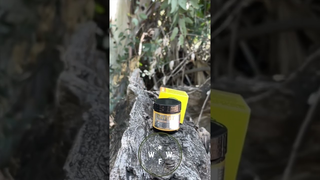 Do You Know About The Weed For Warriors Project?