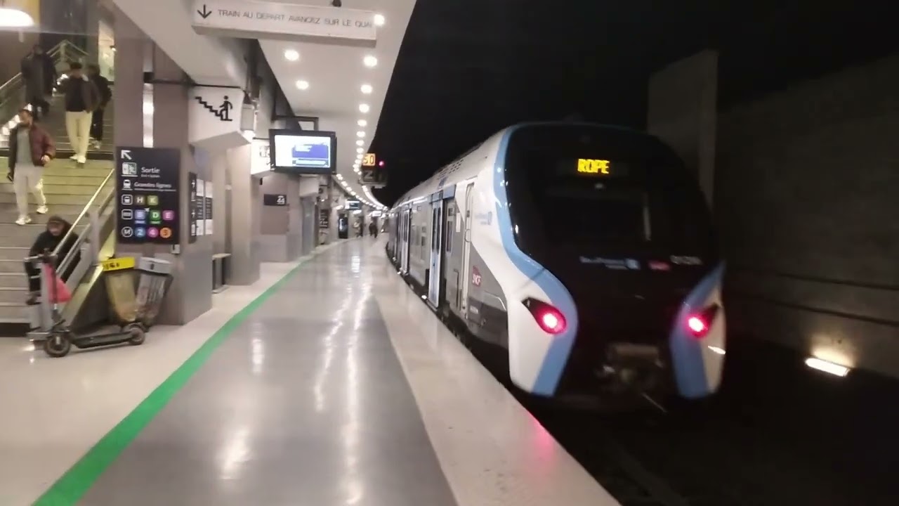 RER B et D à Paris Gare du Nord (voie 44 Sud) : Z 8100, Z 20500 et Z 58500.