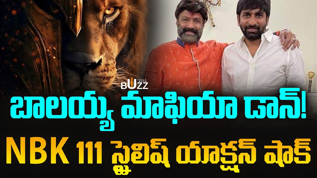 ఈసారి పీరియాడిక్ కాదు ఫుల్ మాస్ | NBK 111 | GopichandMalineni Balakrishna | Tollywood News