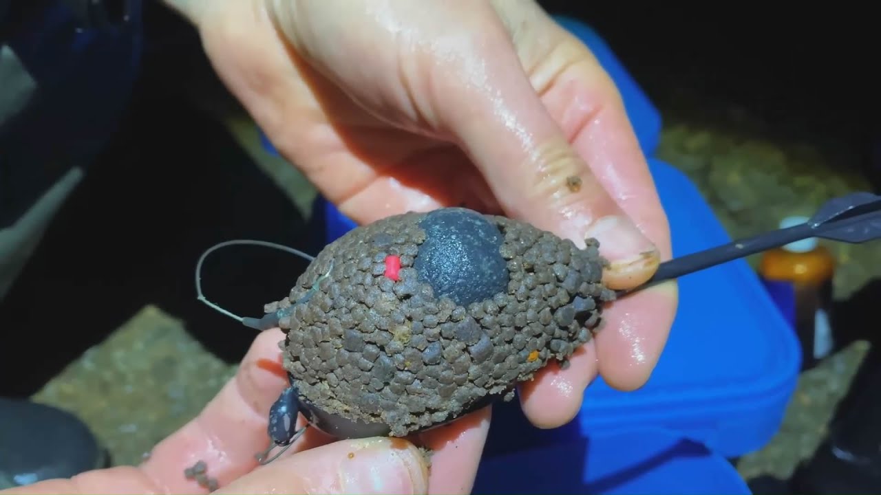 Rybaření na method feeder: Tři 20kg kapry během 30h
