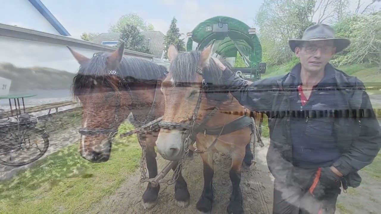 Hiddensee : Teil 4 Fuhrunternehmen Neubauer