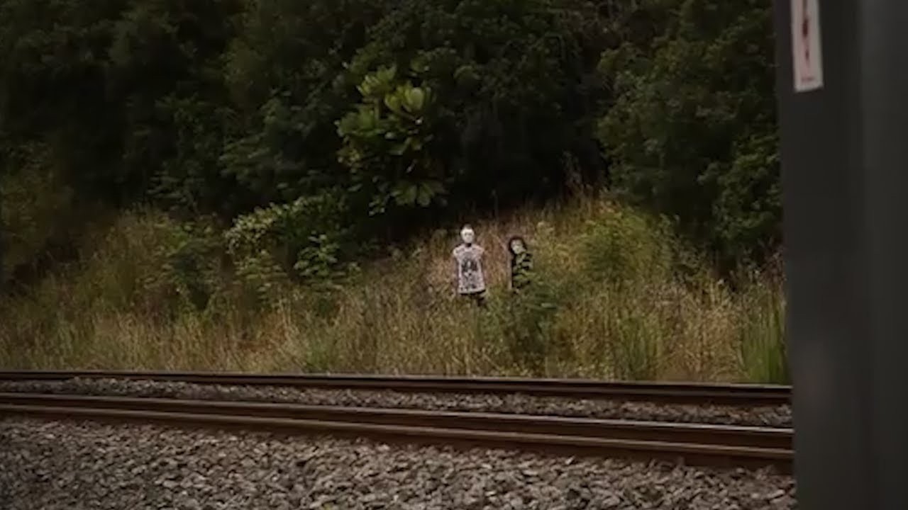 Dron wleciał do zastrzeżonego lasu i uchwycił coś czego nikt nie powinien zobaczyć