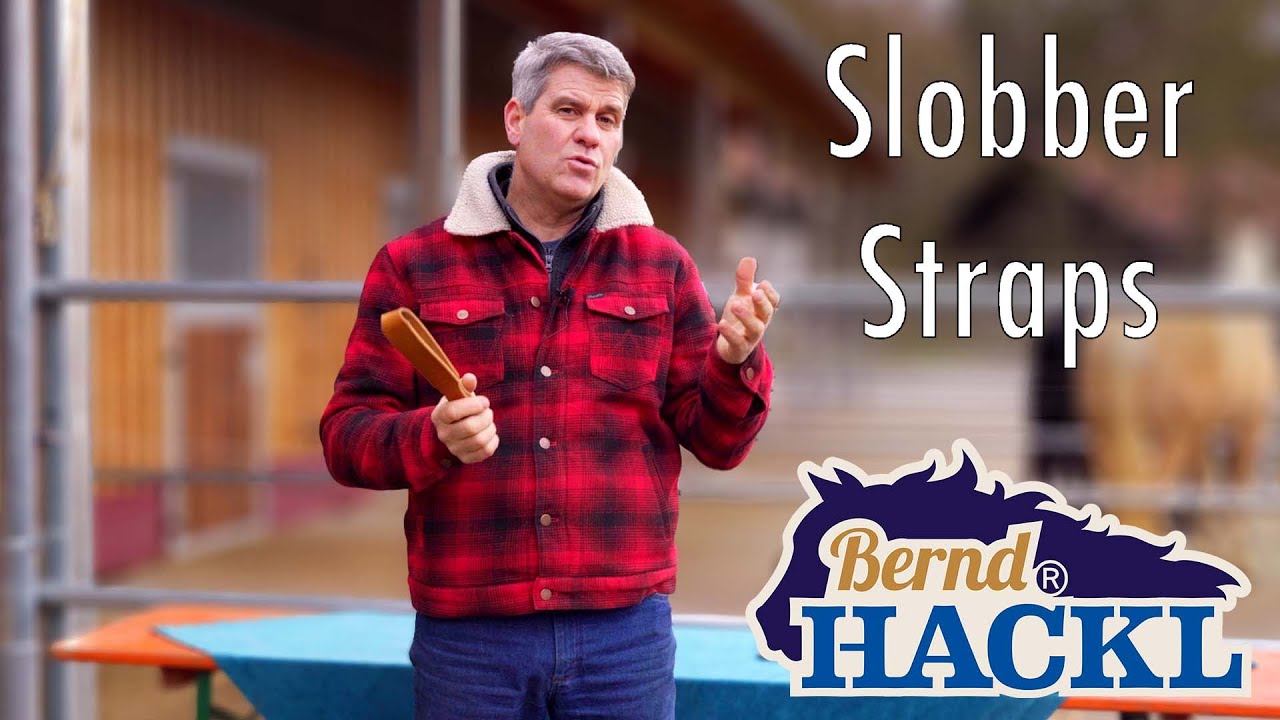 Die Slobber-Straps I Bernd Hackl erklärt! 🐴