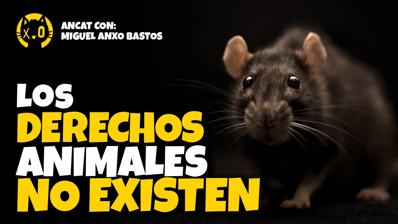 POR QUÉ los ANIMALES NO tienen DERECHOS | Miguel Anxo Bastos