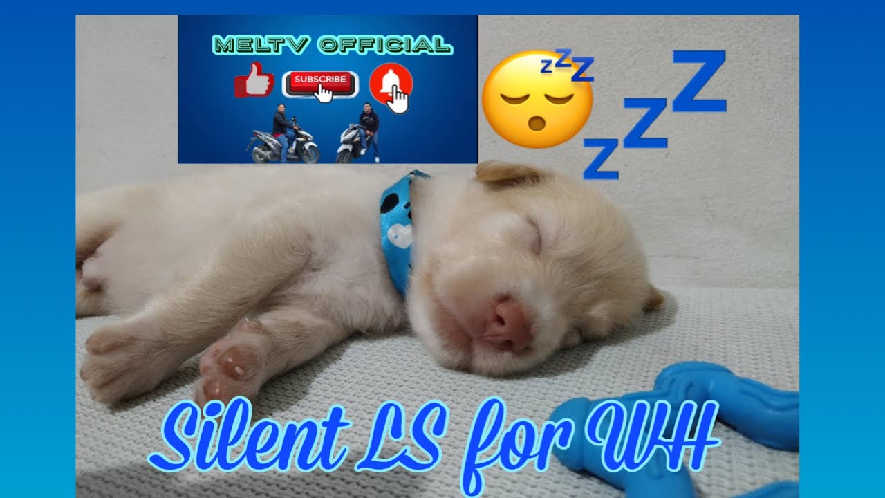 Mel TV official💙 is going live! for WH