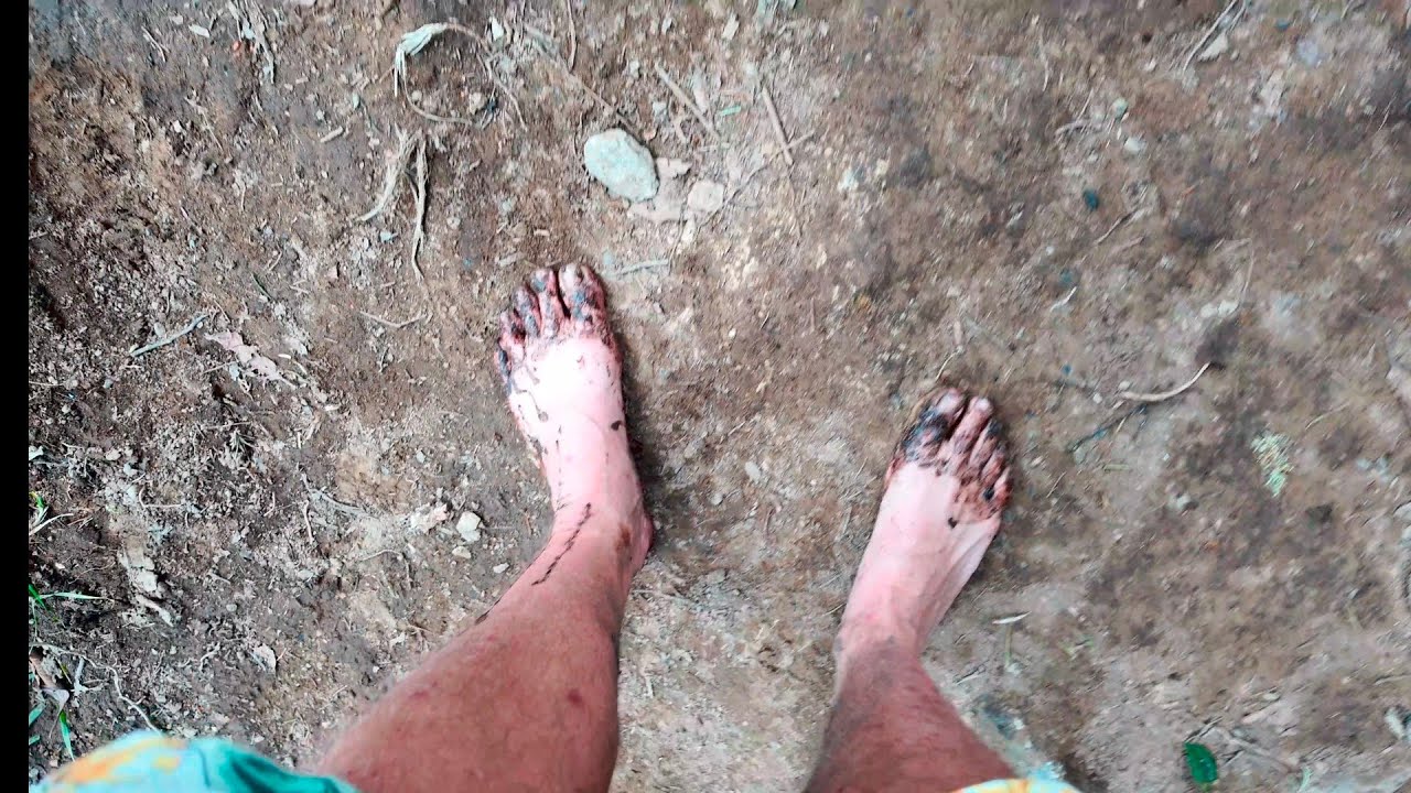 Reisvlog #5 - Paardrijden, Quads, Tejo en Hiken in Salento/Cocora Vallei.