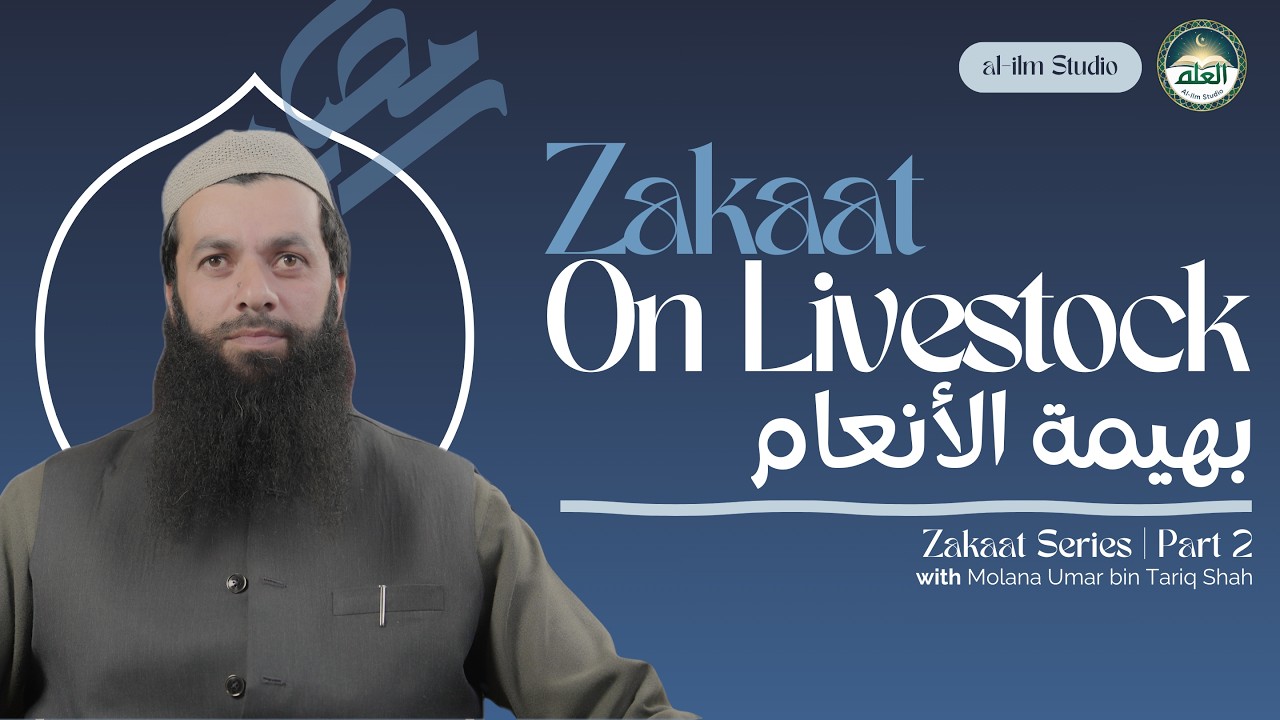 Do You Know Zakaat on Livestock? Most Muslims Don’t Know This. || Zakaat Series Part 2