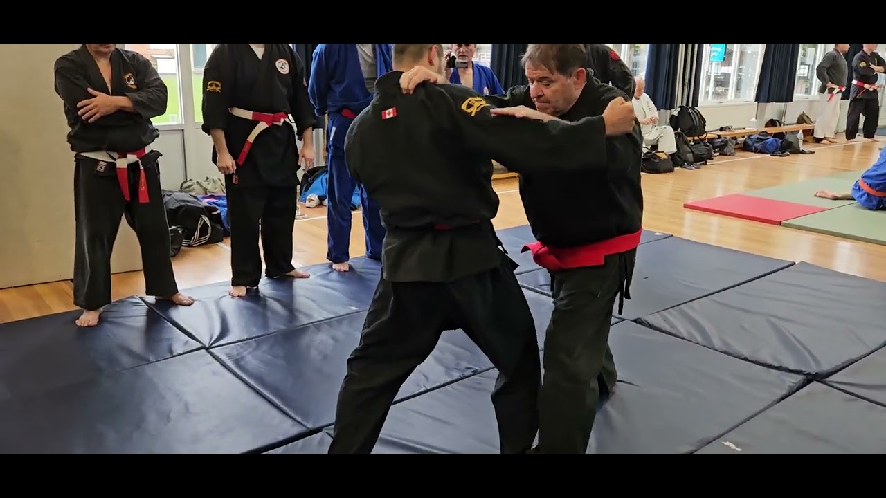 Shihan Mic Legg 7/8 - WEBBS Congress 2023
