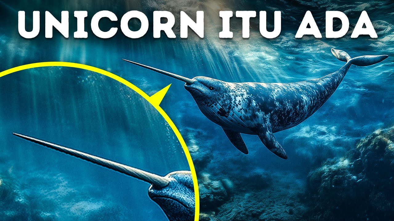 Misteri Laut Dalam yang Terkubur di Sudut Tergelap Samudra