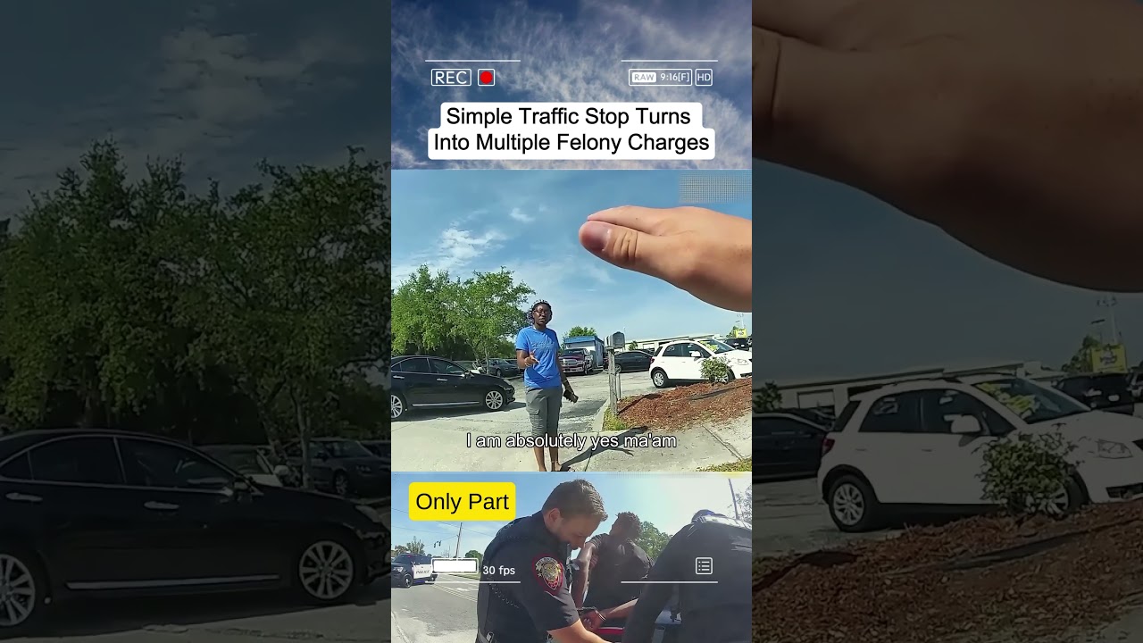 Simple Traffic Stop Turns Into Multiple Felony Charges