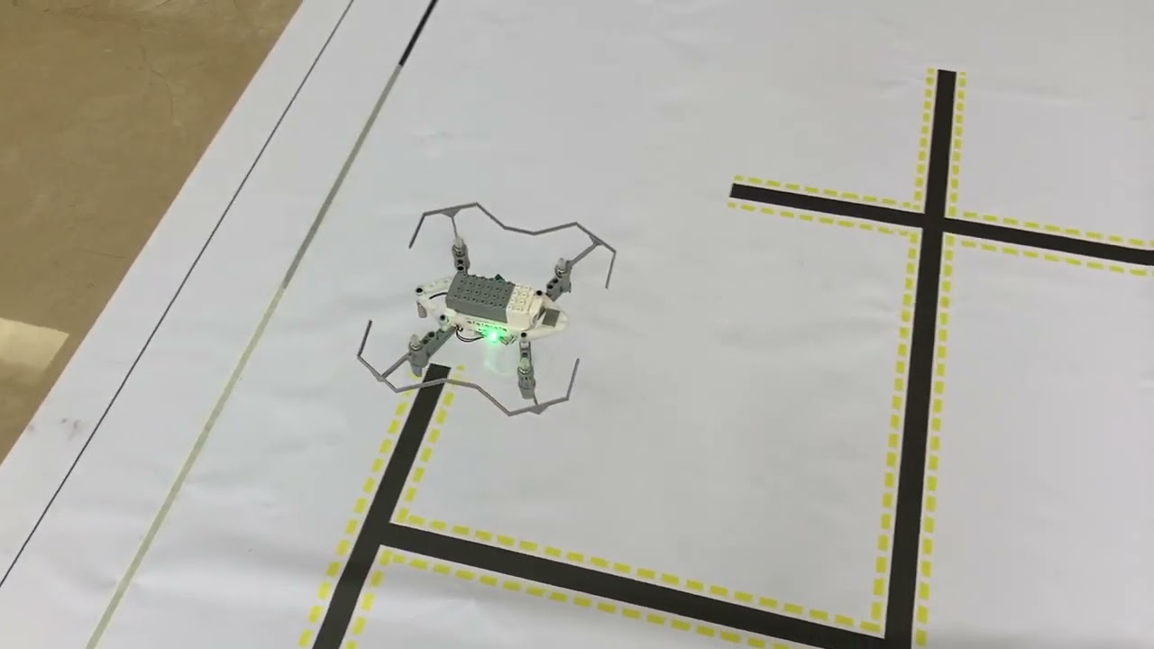 Litebee wing drone with electromagnet delivery + Line tracking+ Go through ring obstacle function~