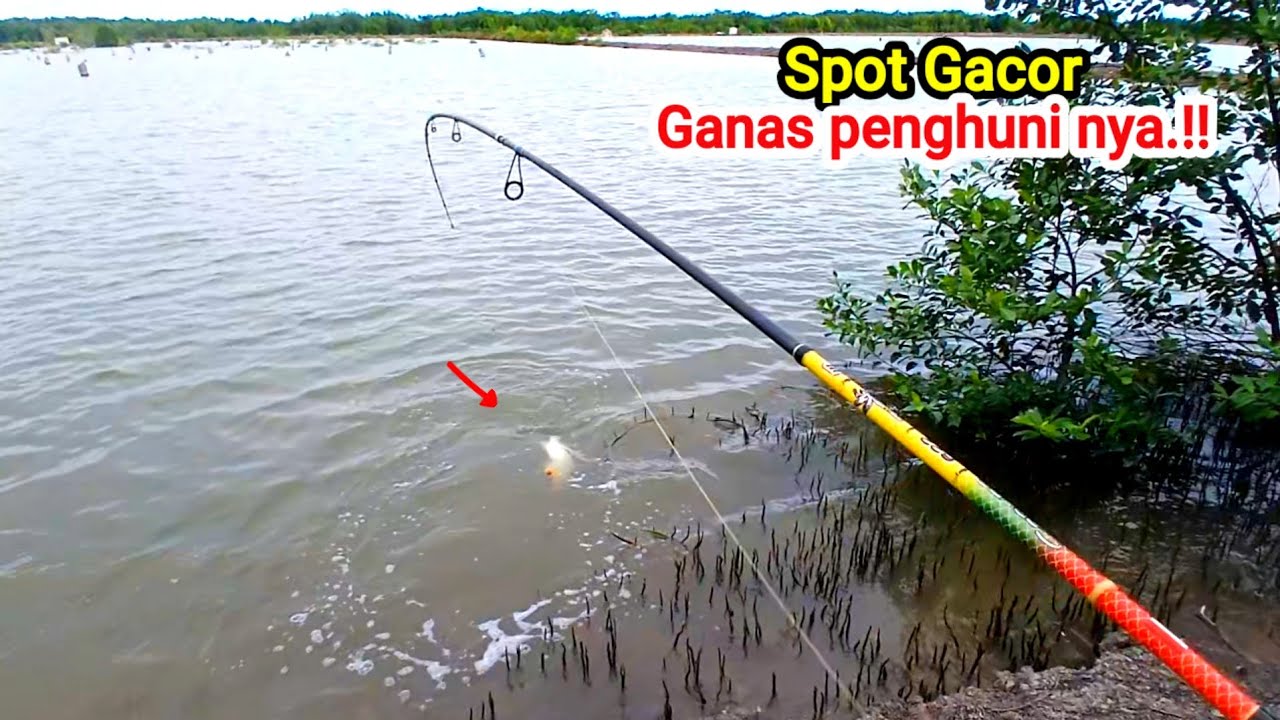 Nyoba Lagi Mancing Kakap Putih Di Spot Gacor..!!