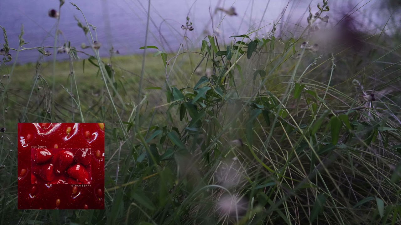 Victoriya - Strawberry