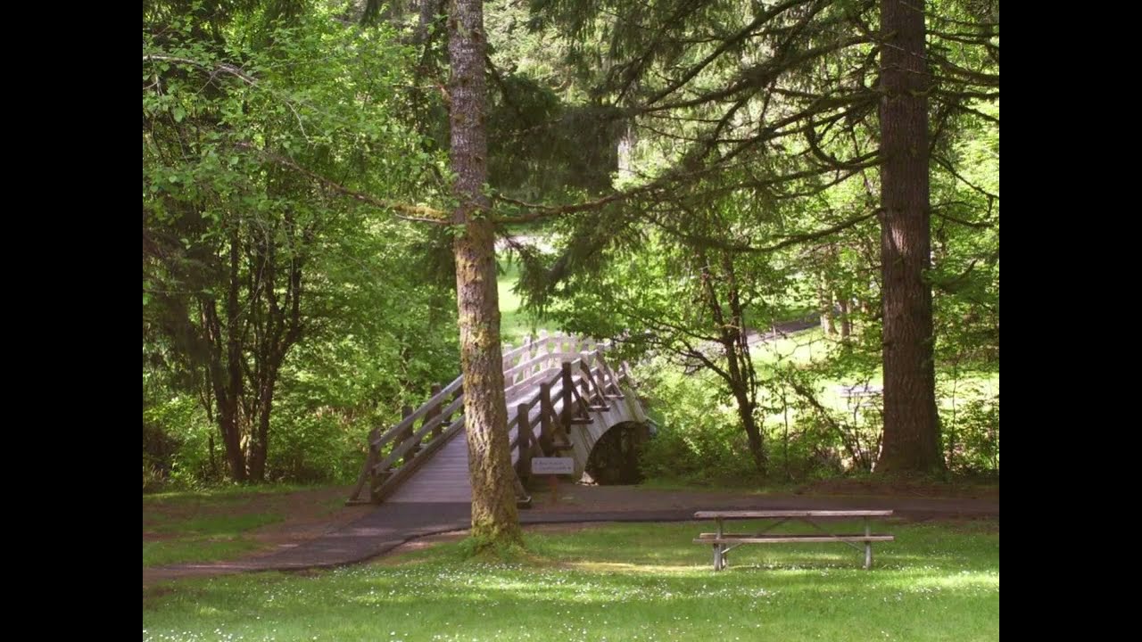 Noticing 12 | Bridges on Trails