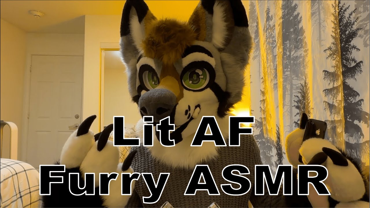 [Furry ASMR] Случайные триггеры | Шумы меха, обнюхивание, постукивание
