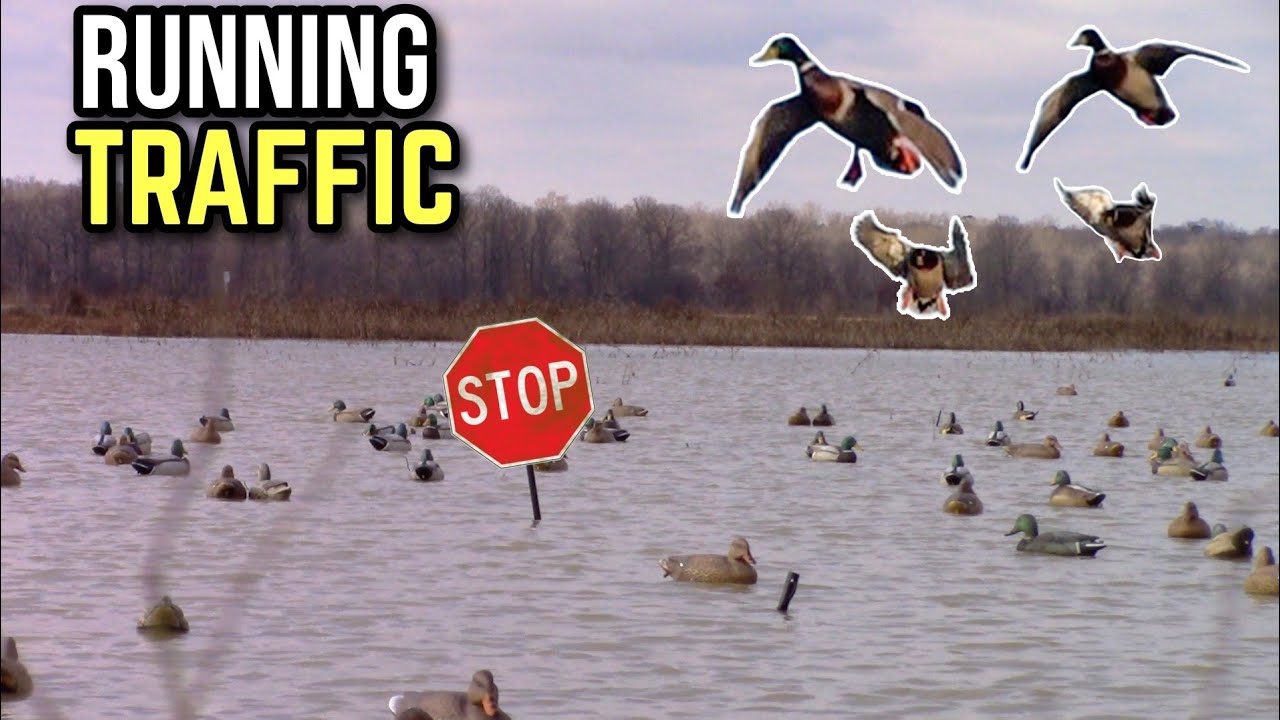 Become a MASTER at Running Traffic!! Put More Ducks In Your Spread