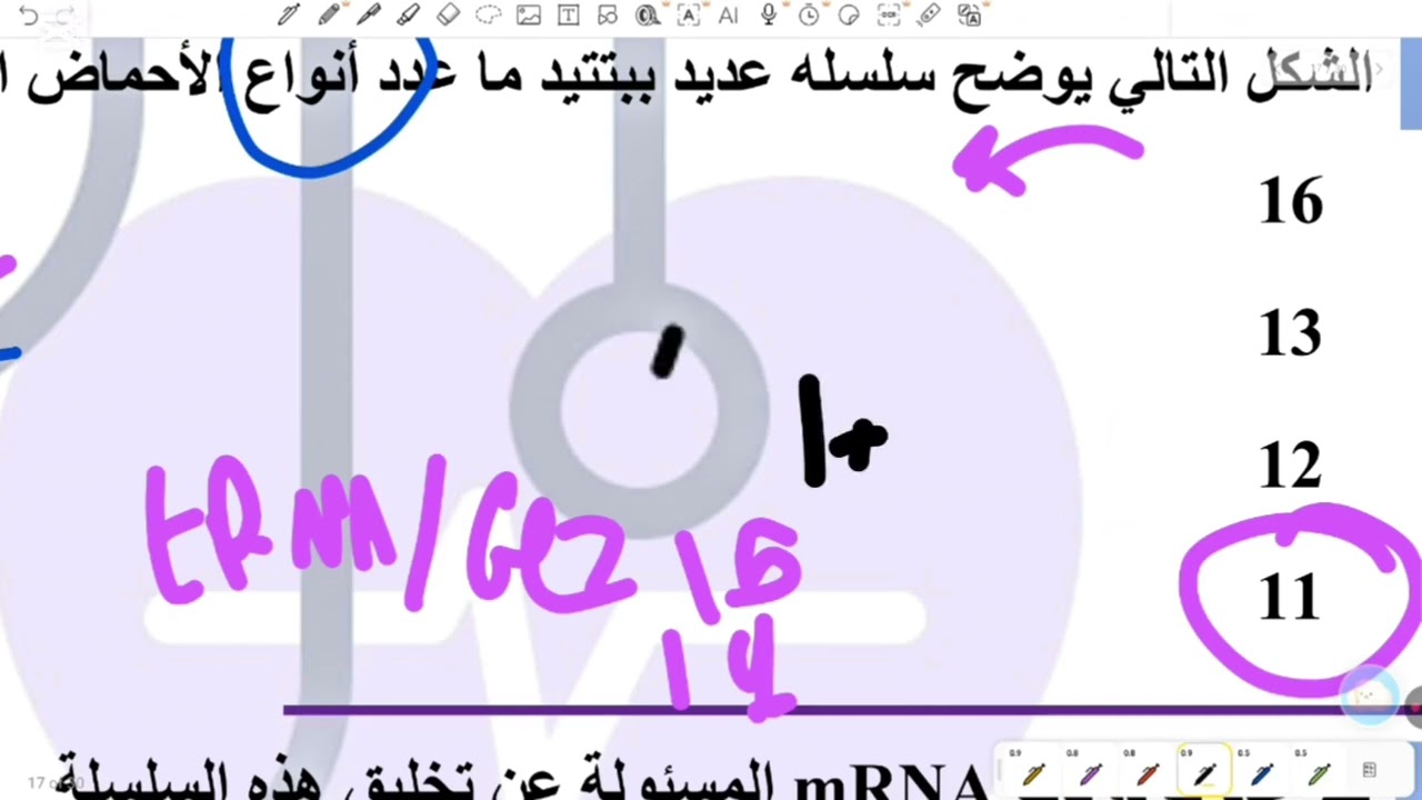 حل واجب RNA وتخليق البروتين الجزء الثاني