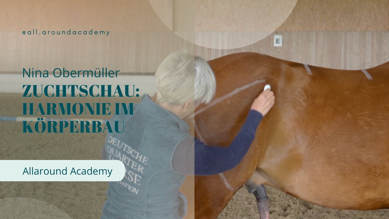 Zuchtschau Teil 3: Harmonie im K&ouml;rperbau