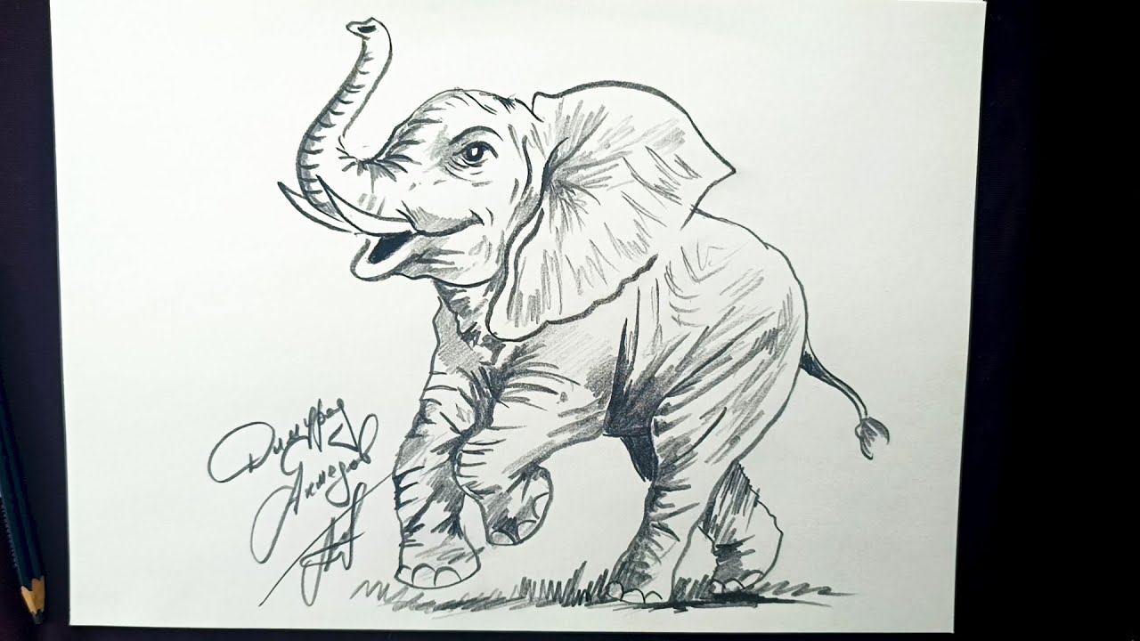 Simple elephant drawing