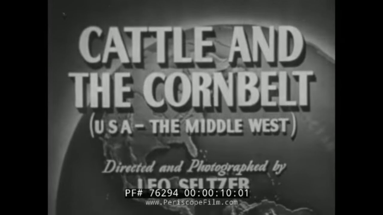 1950-е годы Средний Запад США, скотоводство и фермерство, кукуруза 76294
