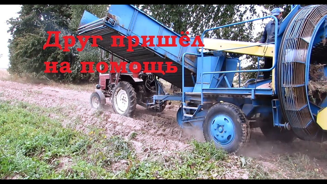 Т-25 и Анна копают наш огород!