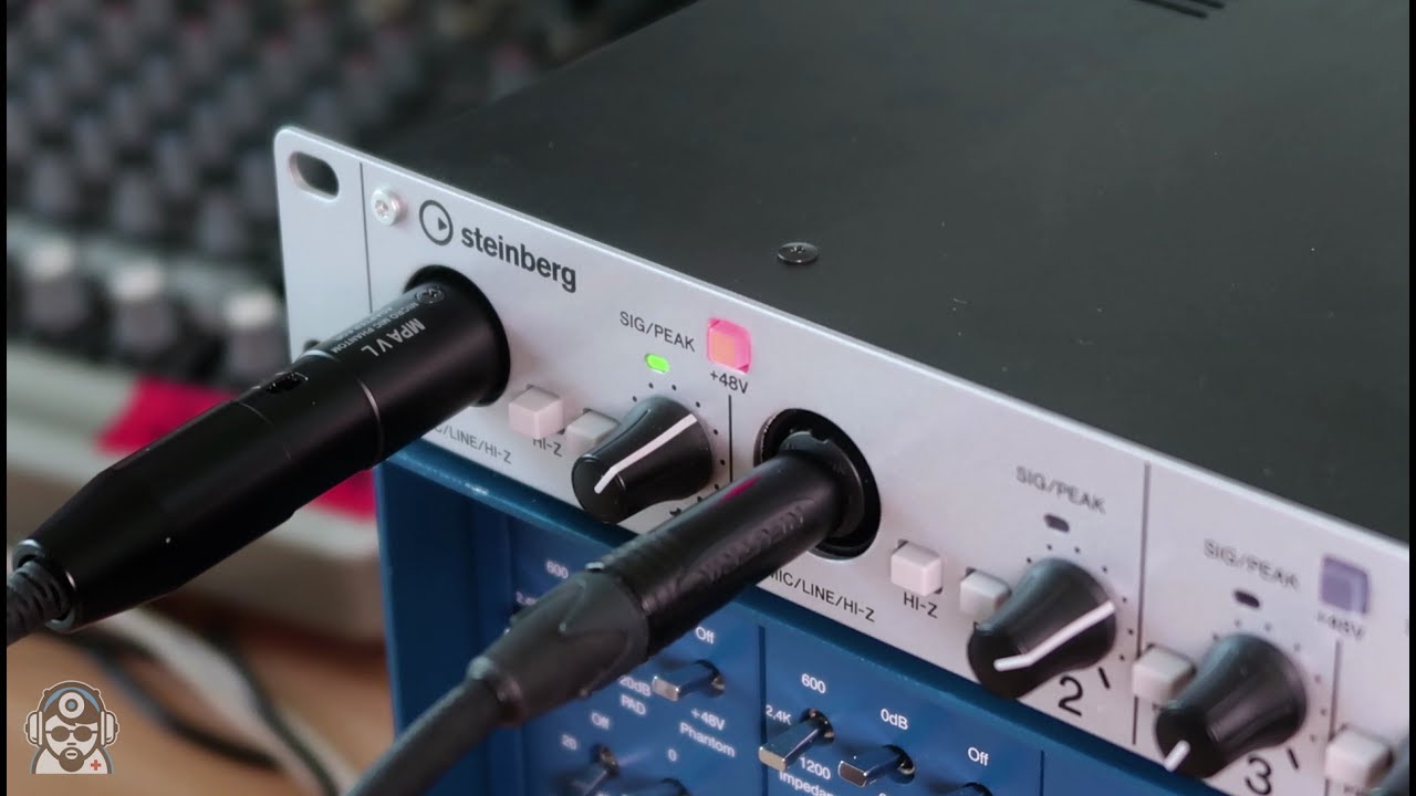 Steinberg UR824 In Depth Review