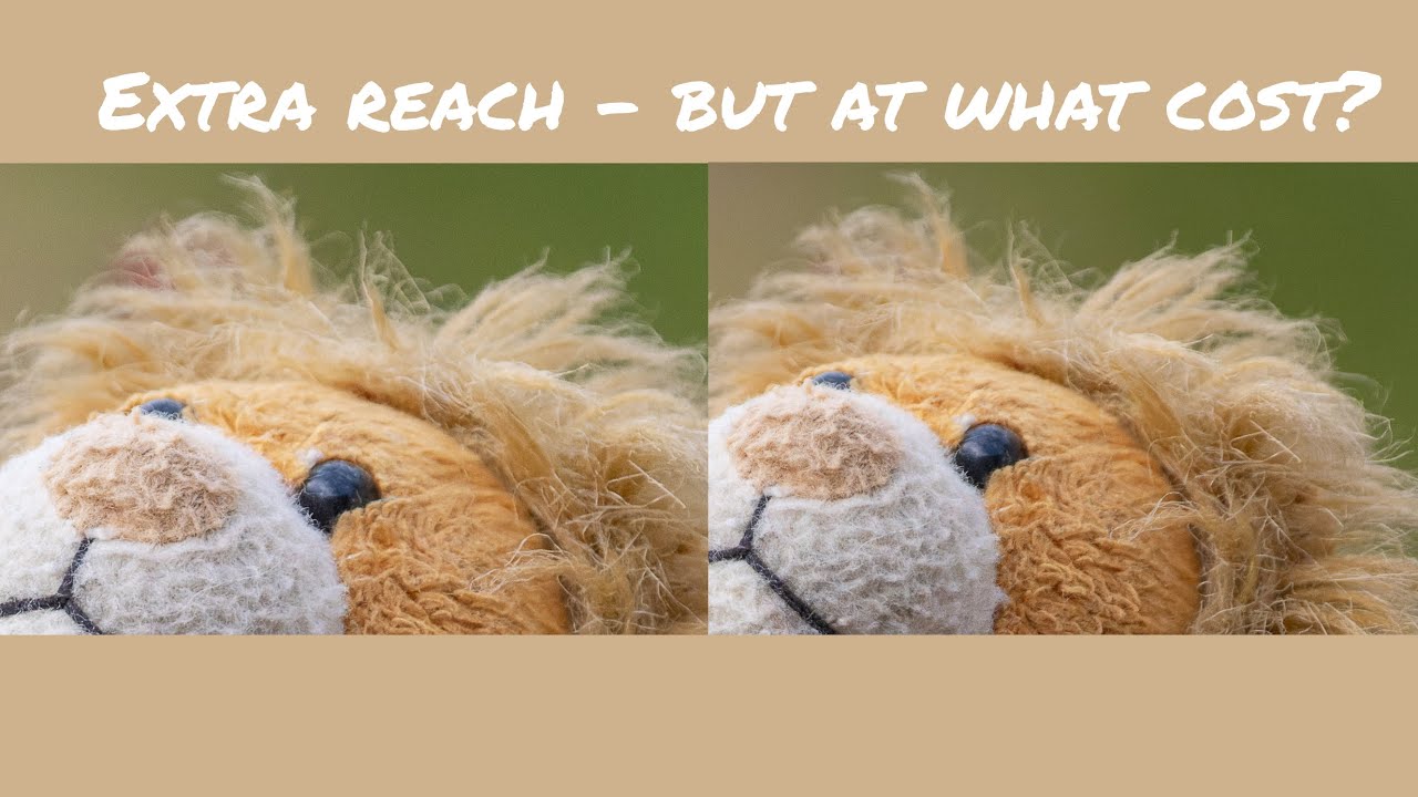 Testing out the Sony 1.4x Teleconverter - extra reach but comes at a cost!