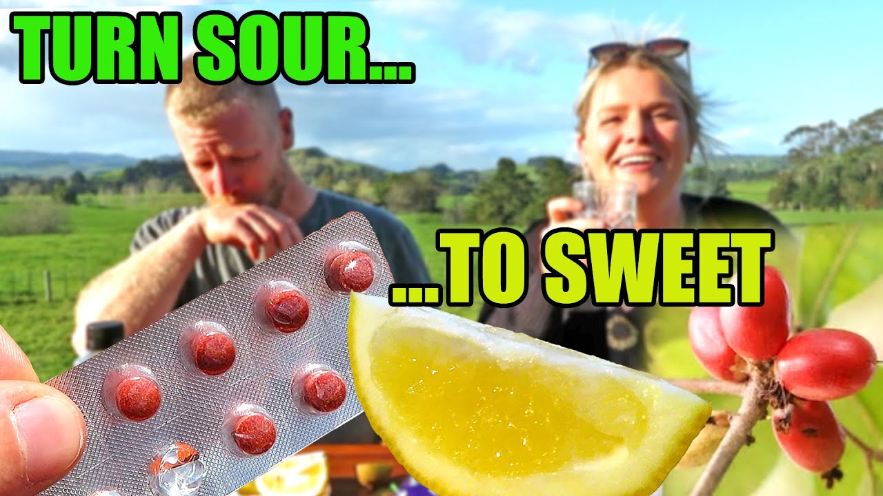 Turn SOUR foods SWEET with this Weird Tropical Fruit! - Miracle Berry Taste Trip