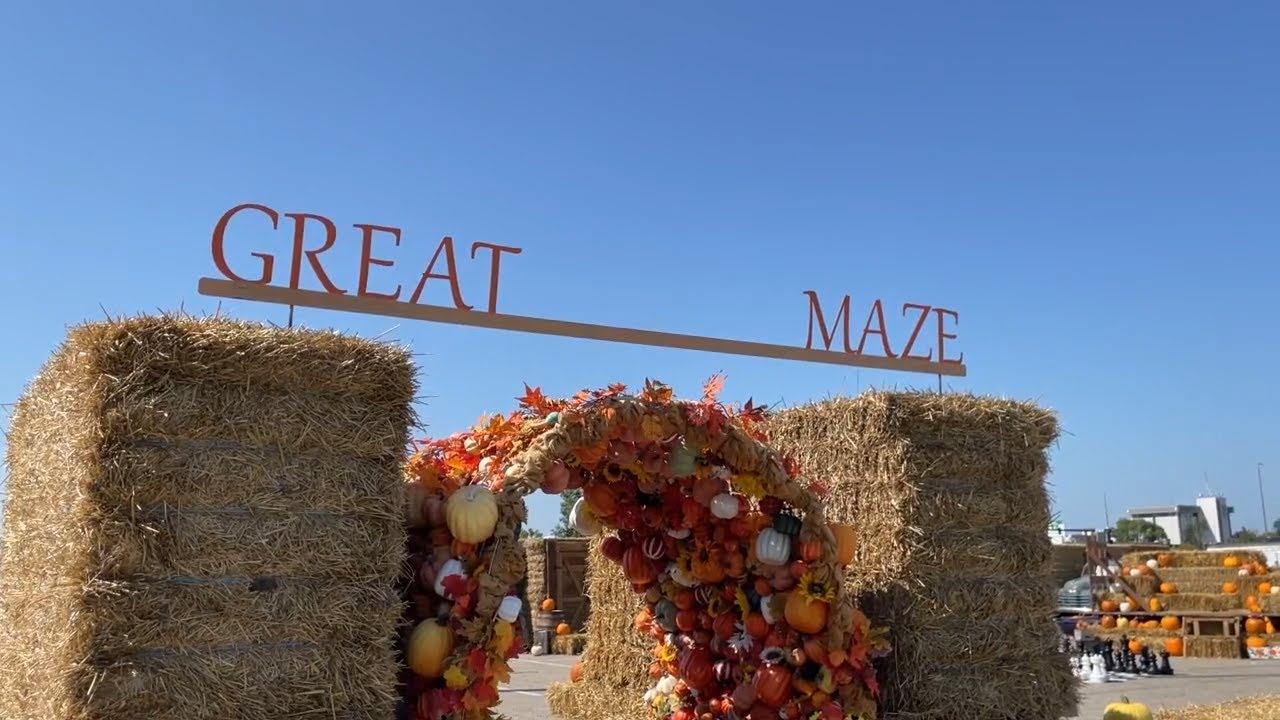 West Acres maze goes wooden and aims for world record