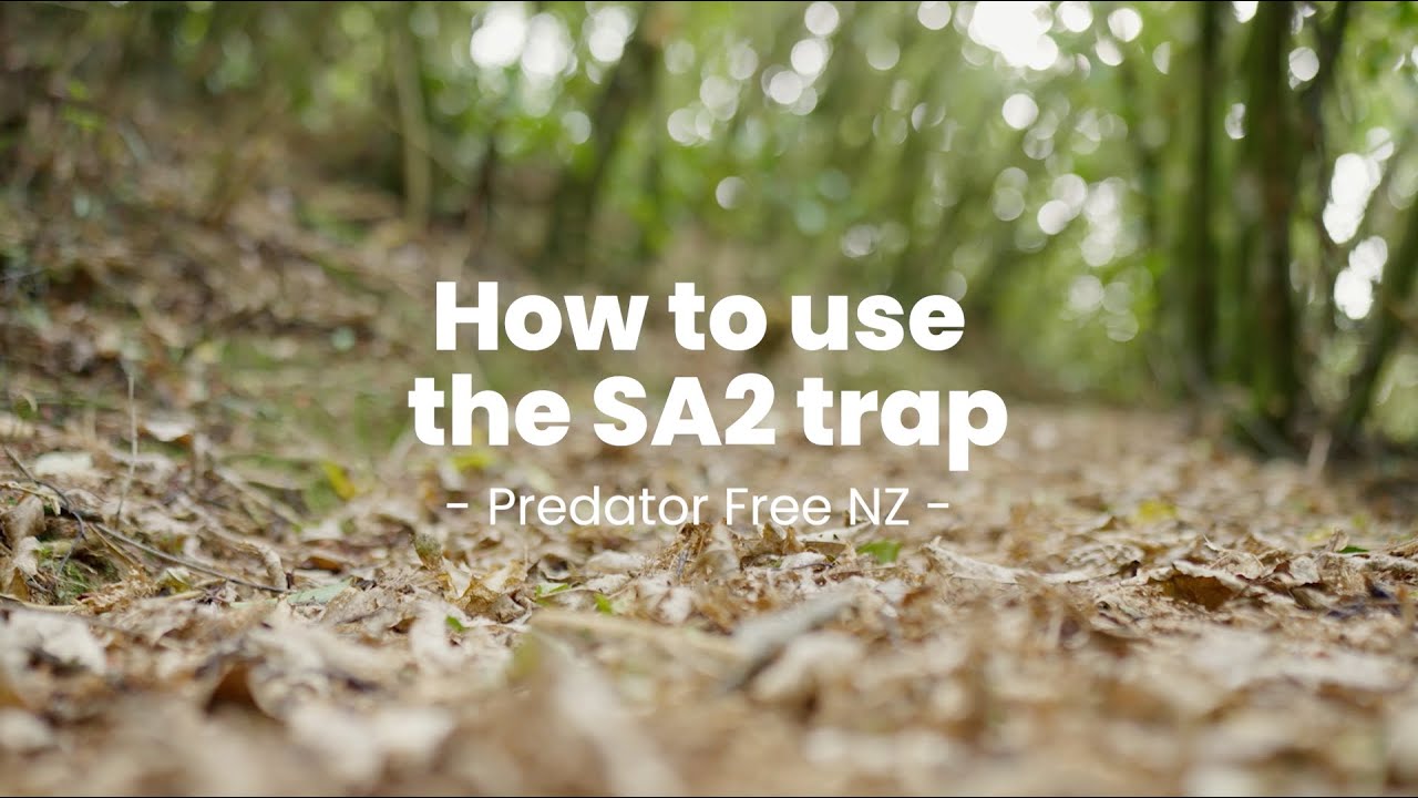 How to use the SA2 trap