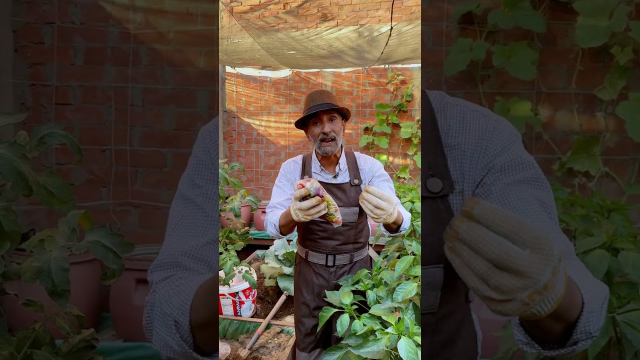 سمادة اتوماتيك ببلاش وريح دماغك من التسميد  @youtubecreators #YuoTubeHighFive