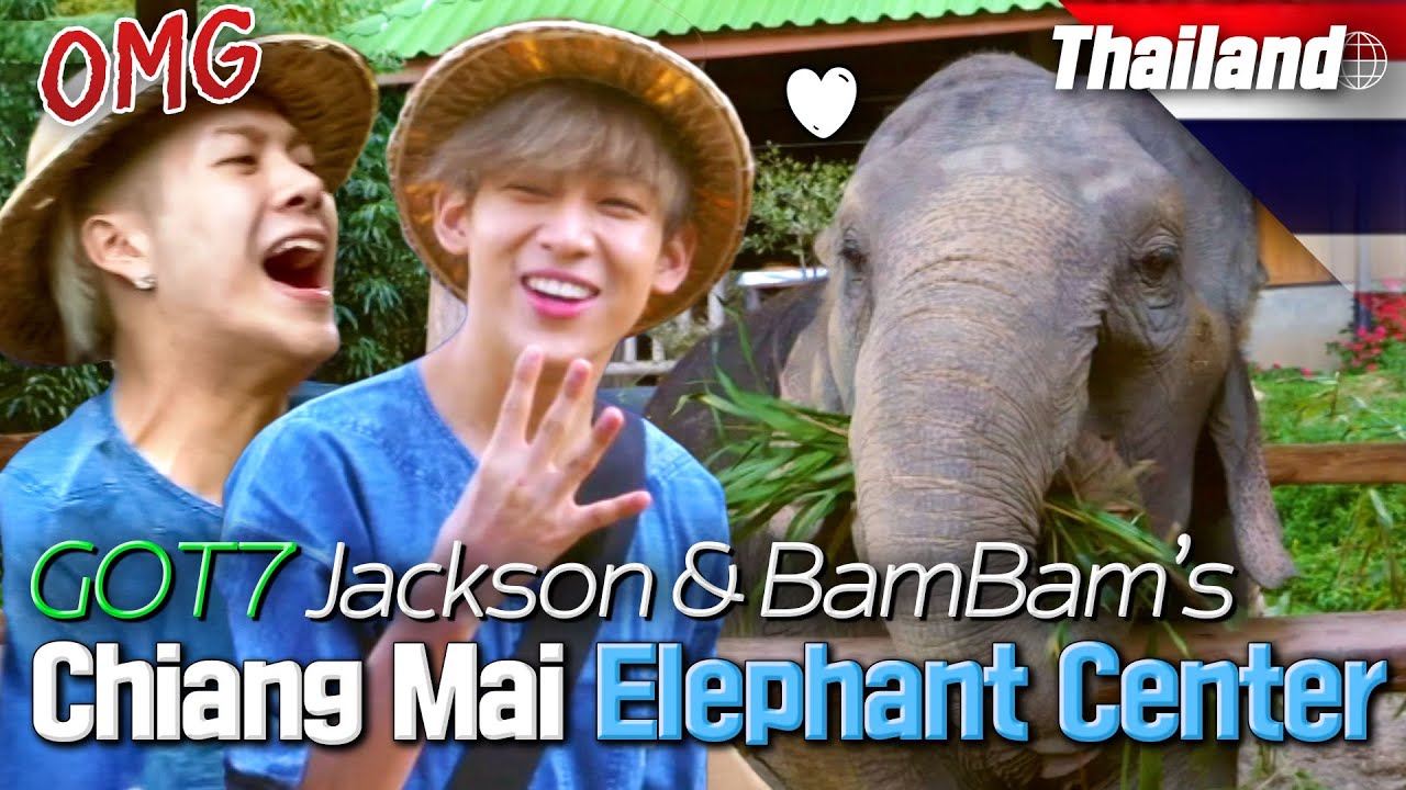 Can scaredy-cat GOT7 JACKSON  & BAMBAM take good care of an elephant? 🐘 | Where Is My Friend's Home
