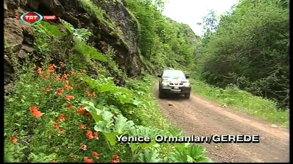TRT Zor Yollar 12. Bölüm YENİCE ORMANLARI ŞEKER KANYONU GEREDE YENİCE