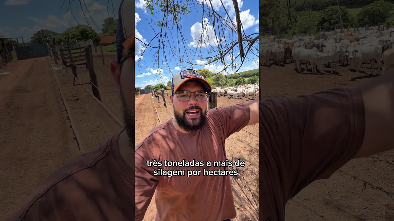 Mais leite, mais GMD, mais fertilidade, mais precocidade tudo isso com uma boa comida!