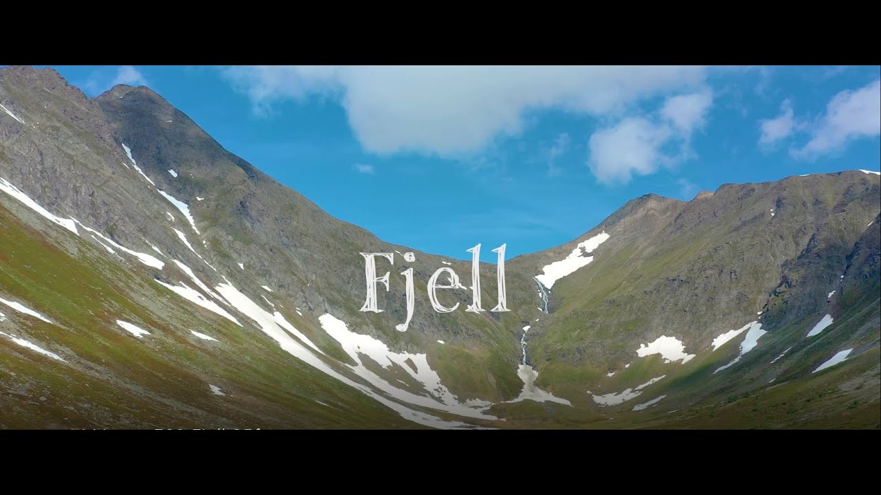 Naturtyper i Norge: Fjell