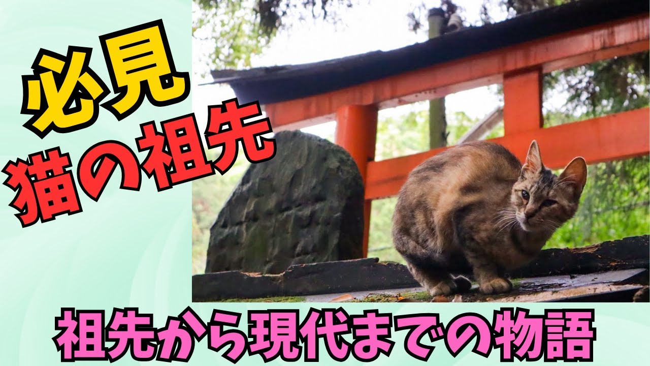 【猫】猫の歴史：祖先から現代の猫までの物語