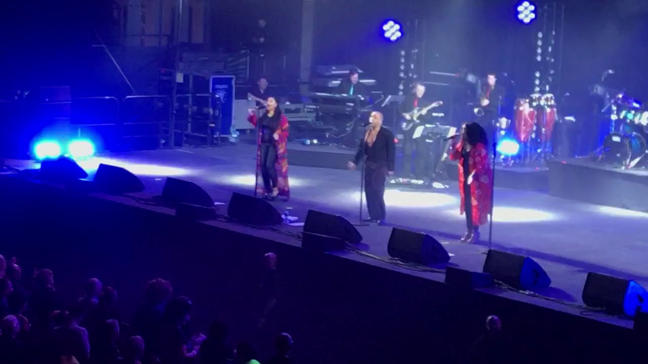 Odyssey native New Yorker  live