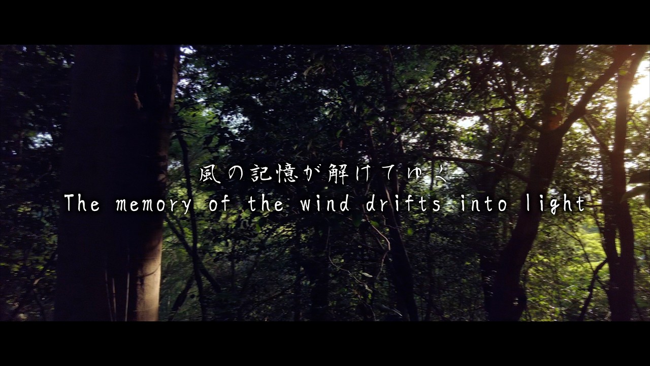 風の記憶/The Wind Remembers - Zero Error