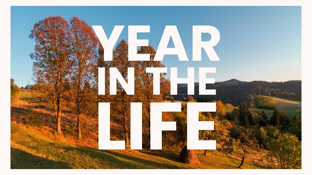 Year in the Life of Public Works Employees