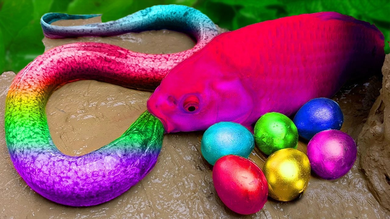 Catch Tropical Fish in Giant Colorful Eggs,메기, 분홍 악어, 게, 무지개 잉어, 장어